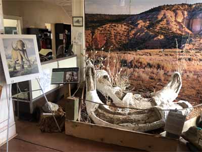 JewettMamouth Display in YMCA