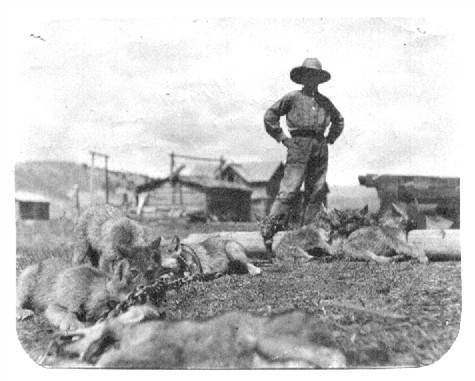 Grandpa Frison and wolfs